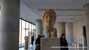 Museo de la Acrópolis Dionysiou Areopagitou 15, Athina 117 42, Grecia (photoonline.es)