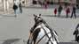Calle de Placentines, 53, Sevilla, España (photoonline.es)