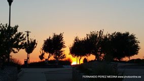 Cerro de los Perdigones, Pozuelo de Alarcón, Madrid