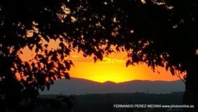 Cerro de los Perdigones, Pozuelo de Alarcón, Madrid