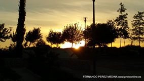 Cerro de los Perdigones, Pozuelo de Alarcón, Madrid