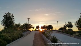 Cerro de los Perdigones, Pozuelo de Alarcón, Madrid
