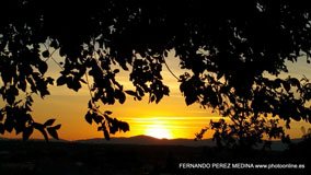 Cerro de los Perdigones, Pozuelo de Alarcón, Madrid