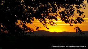 Cerro de los Perdigones, Pozuelo de Alarcón, Madrid