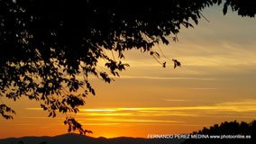 Cerro de los Perdigones, Pozuelo de Alarcón, Madrid
