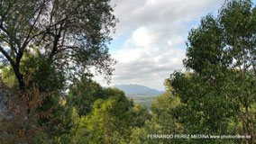 Roda de Bará, Tarragona, España