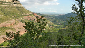 Roda de Bará, Tarragona, España