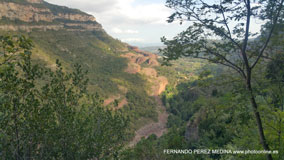 Roda de Bará, Tarragona, España