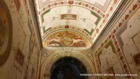 Musei Vaticani, Viale Vaticano, Roma, Italia