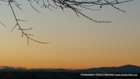 Cerro de los Perdigones, Pozuelo de Alarcón, Madrid
