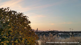 Paseo Alcalde Marqués del Contadero, Sevilla, España