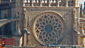 Catedral, Sevilla, España