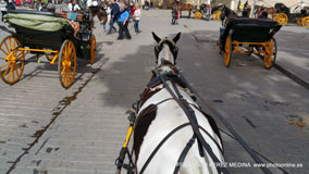 Calle de Placentines, 53, Sevilla, España