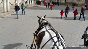 Calle de Placentines, 53, Sevilla, España