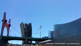 Museo Guggenheim Bilbao, Avenida Abandoibarra, Bilbao, España