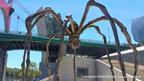 Museo Guggenheim Bilbao, Avenida Abandoibarra, Bilbao, España