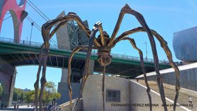 Museo Guggenheim Bilbao, Avenida Abandoibarra, Bilbao, España