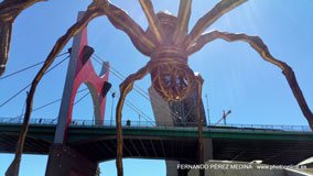 Museo Guggenheim Bilbao, Avenida Abandoibarra, Bilbao, España