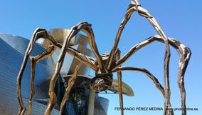 Museo Guggenheim Bilbao, Avenida Abandoibarra, Bilbao, España