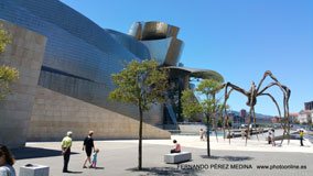 Museo Guggenheim Bilbao, Avenida Abandoibarra, Bilbao, España