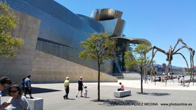 Museo Guggenheim Bilbao, Avenida Abandoibarra, Bilbao, España