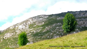 Lagos de Covadonga, Asturias, España