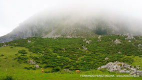 Lagos de Covadonga, Asturias, España