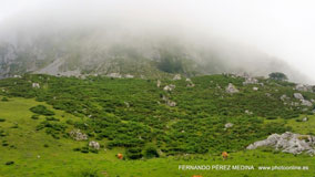 Lagos de Covadonga, Asturias, España