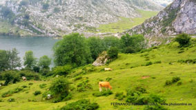 Lagos de Covadonga, Asturias, España