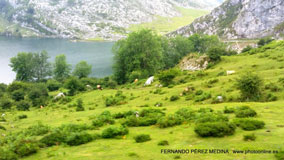 Lagos de Covadonga, Asturias, España
