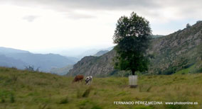 Lagos de Covadonga, Asturias, España