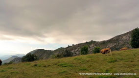 Lagos de Covadonga, Asturias, España