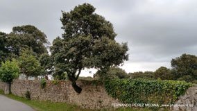 San Vicente de la Barquera, Cantabria, España