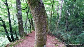 Ferreria de Cades, Cades, Cantabría, España