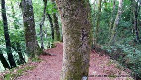 Ferreria de Cades, Cades, Cantabría, España