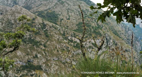 Mirador de La Reina, Asturias, España