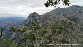 Mirador de La Reina, Asturias, España