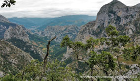 Mirador de La Reina, Asturias, España