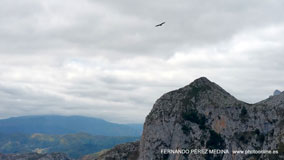 Mirador de La Reina, Asturias, España