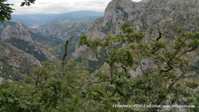 Mirador de La Reina, Asturias, España