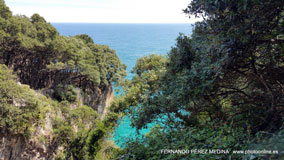 Cuevas del Pindal, Asturias, España