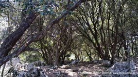 Cuevas del Pindal, Asturias, España