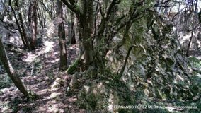 Cuevas del Pindal, Asturias, España