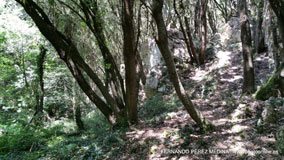 Cuevas del Pindal, Asturias, España