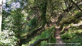 Cuevas del Pindal, Asturias, España