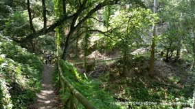 Cuevas del Pindal, Asturias, España