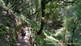 Cuevas del Pindal, Asturias, España