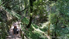 Cuevas del Pindal, Asturias, España