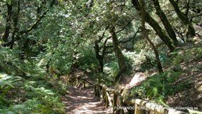 Cuevas del Pindal, Asturias, España