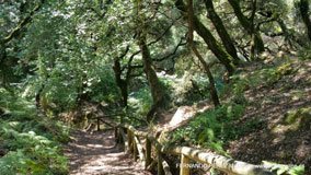 Cuevas del Pindal, Asturias, España